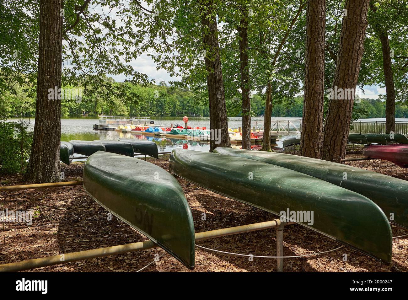 Des canoës verts sont entreposés à l'envers dans un lac boisé, tandis que des bateaux à pédales se trouvent près d'un quai au parc national de Trap Pond, dans le Delaware, aux États-Unis. Banque D'Images