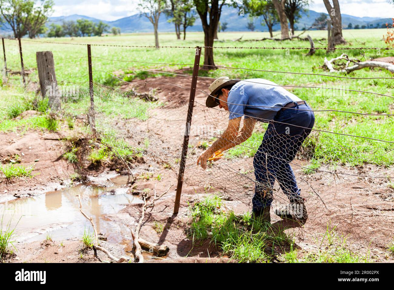 Agriculteur australien travaillant sur des biens en train de réparer une clôture endommagée par les eaux d'inondation Banque D'Images