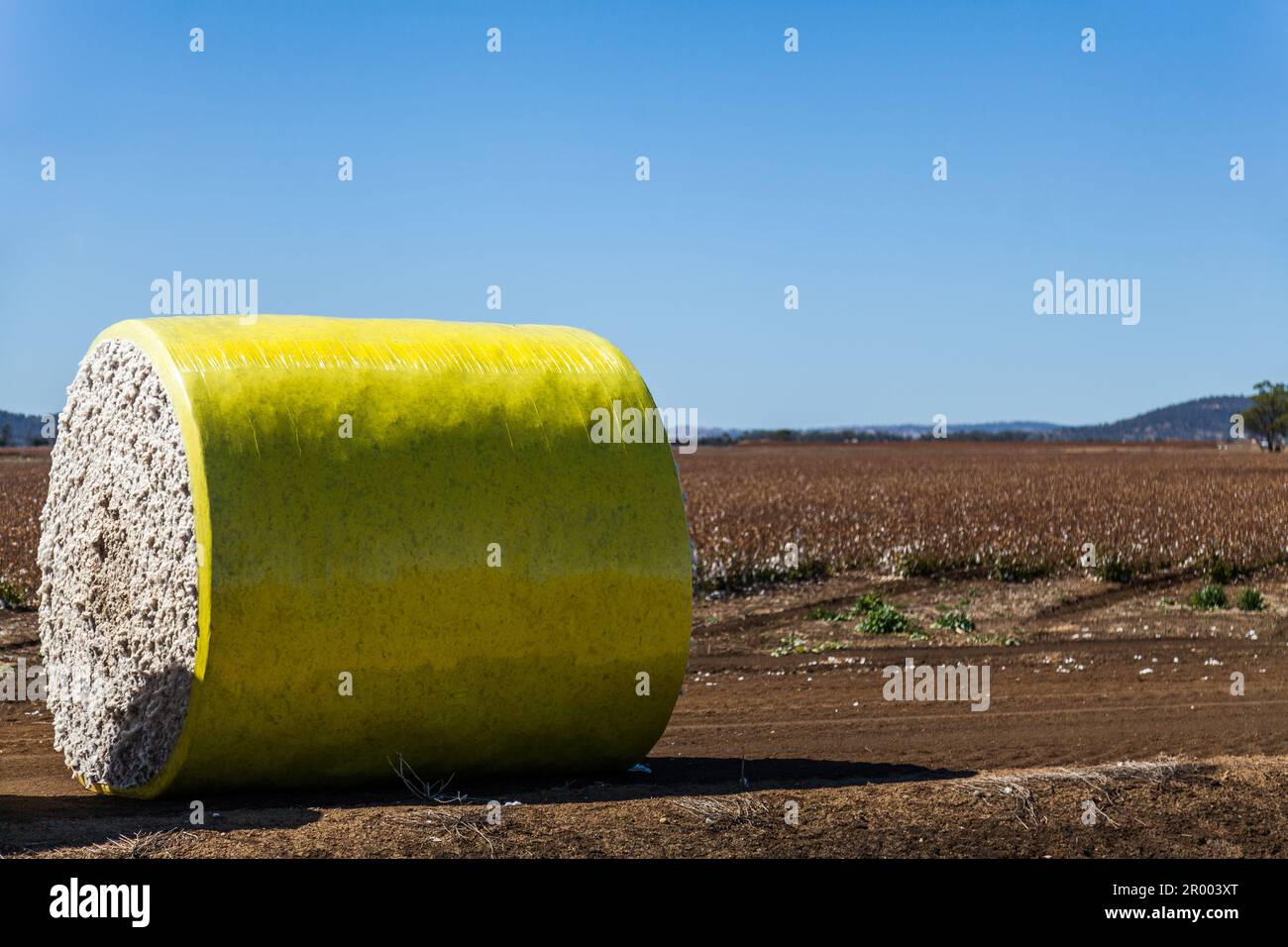 Balle de coton ronde sur une ferme de campagne en Australie rurale Banque D'Images