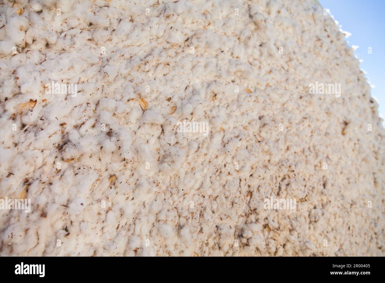 Balle de coton ronde sur une ferme de campagne en Australie rurale Banque D'Images