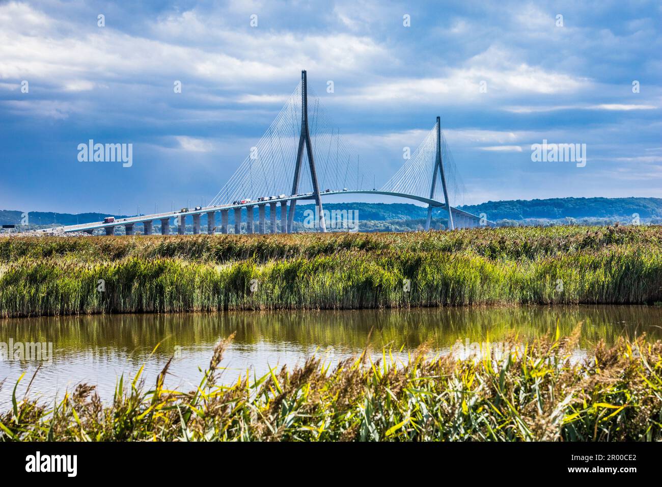 Pont de Normandie, pont à péage de 2143 mètres, avec pistes pour piétons, vélos et automobiles, depuis la réserve naturelle de l'estuaire de la Seine Banque D'Images
