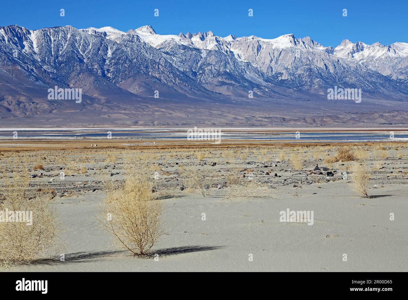 Owens Valley et Sierra Nevada, Californie Banque D'Images