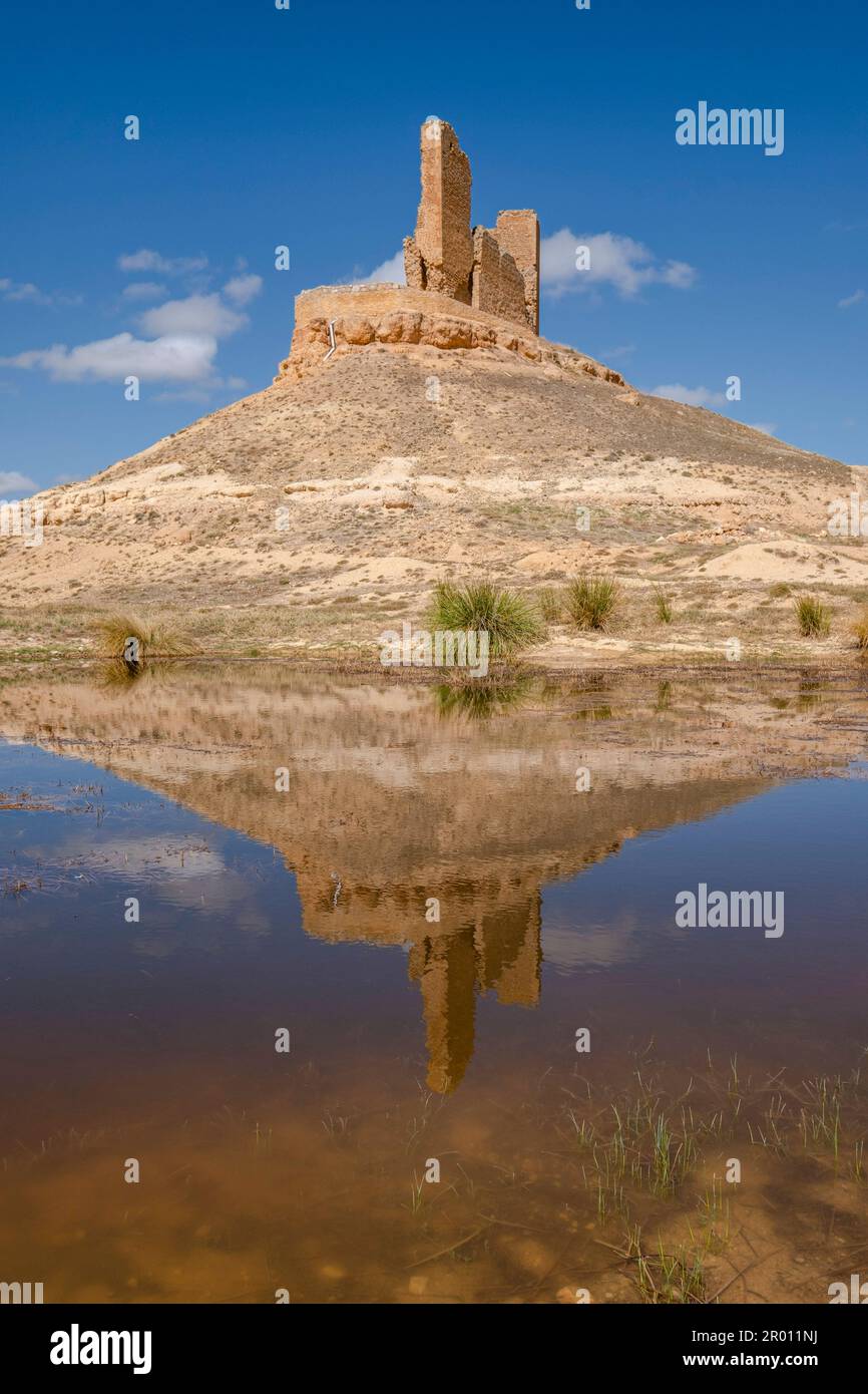 Castillo de Montuenga de Soria, Castillo de los Padilla, Montuenga de Soria, Comarca de Arcos de Jalón, Soria, comunidad autónoma de Castilla y Leó Banque D'Images