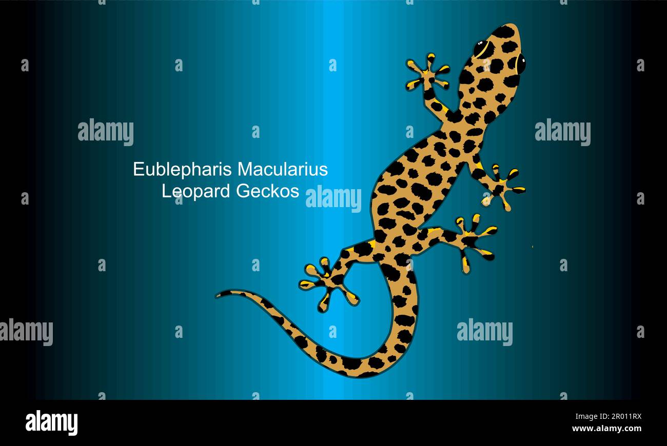 Tokay Gecko sur le fond abstrait - Illustration, Super mignon Leopard Geckos Illustration de Vecteur