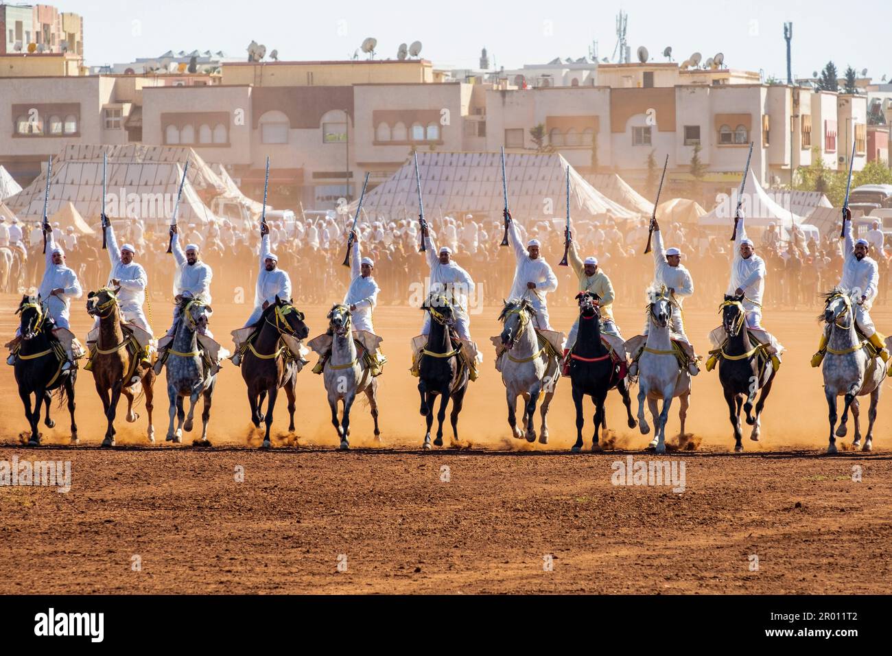 Fantasia, - Tbourida -, Fès, Marruecos, Afrique Banque D'Images