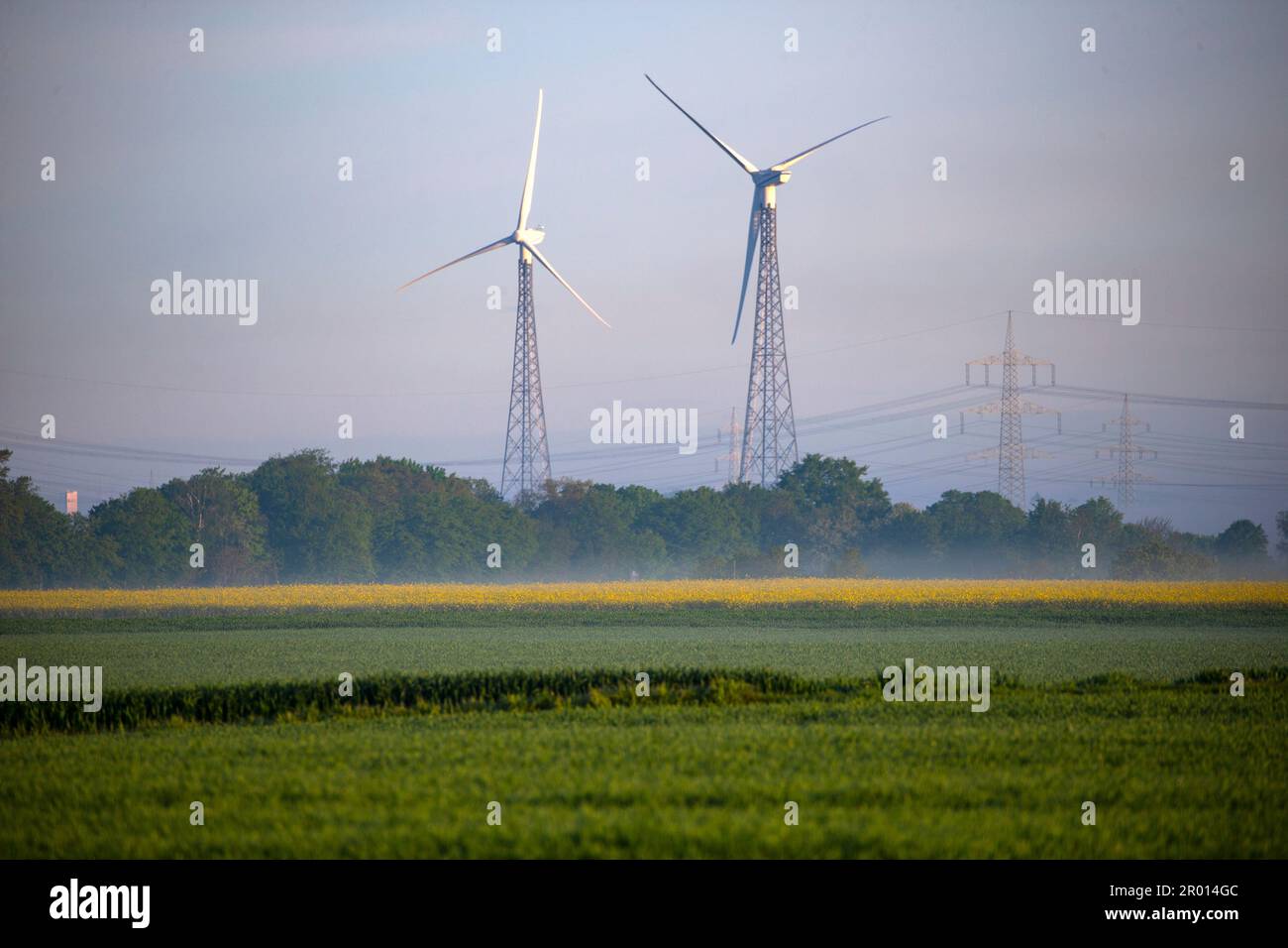 Bornheim, Allemagne. 06th mai 2023. Derrière un champ de colza en fleurs près de Bornheim, on peut voir des éoliennes à l'horizon. Credit: Thomas Banneyer/dpa/Alay Live News Banque D'Images