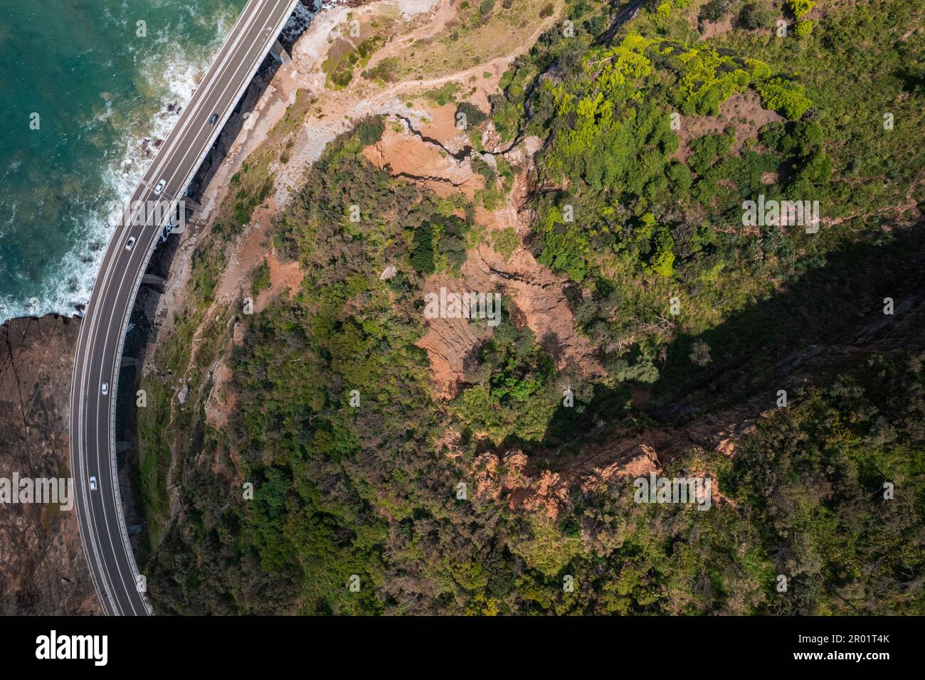 Vue aérienne sur le pont Seacliff entouré de verdure à Wollongong, en Australie Banque D'Images