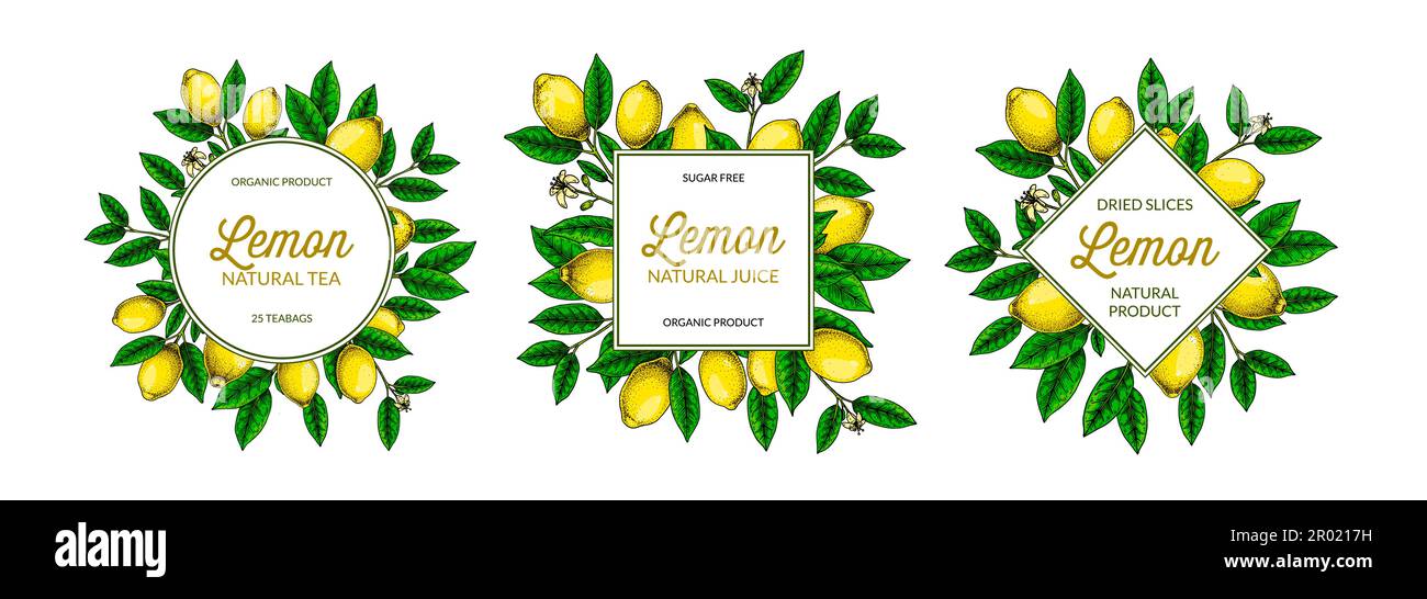 Ensemble de cadres de citron. Illustration vectorielle colorée dessinée à la main dans un stile d'esquisse. Design pour l'emballage, le logo, l'invitation, les cartes de vœux Illustration de Vecteur Ensemble de cadres de citron. Illustration vectorielle colorée dessinée à la main dans un stile d'esquisse. Design pour l'emballage, le logo, l'invitation, les cartes de vœux Illustration de Vecteur