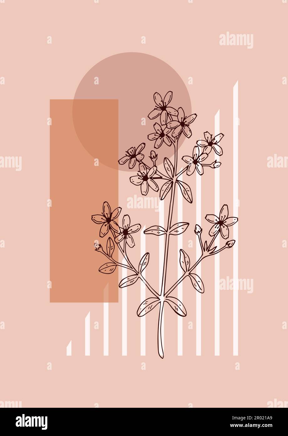 Affiche moderne à motif floral et esthétique. Illustration vectorielle dessinée à la main. Esquisse de fleurs sauvages Illustration de Vecteur