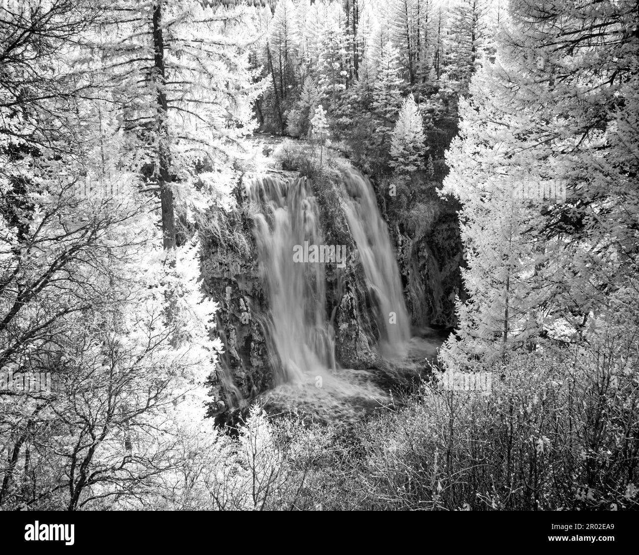 Burney Falls dans le comté de Shasta Californie États-Unis - image infrarouge noir et blanc. Banque D'Images