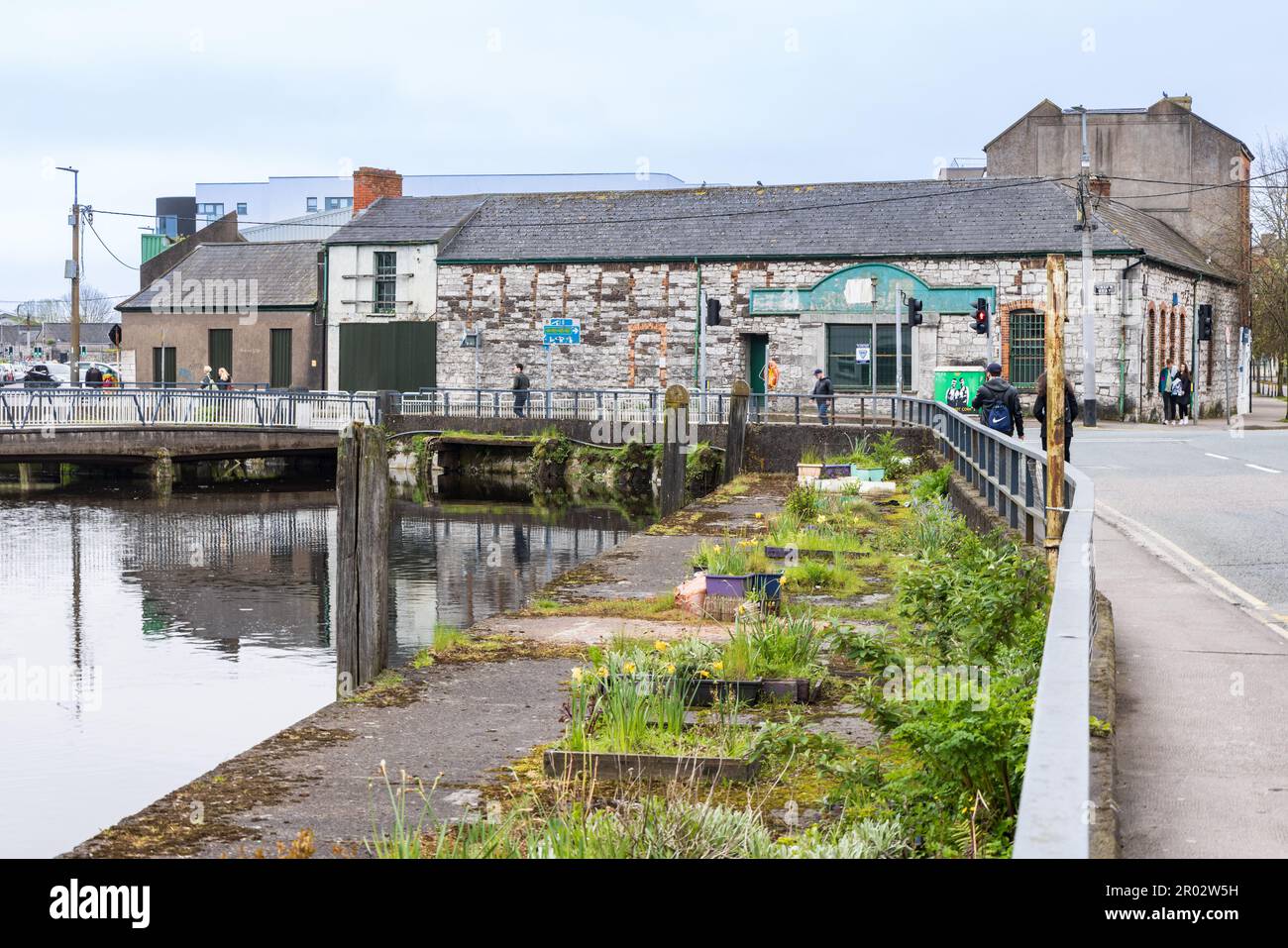 Cork, Irlande - 16 avril 2023: Le jardinage urbain le long de la rivière Lee à Cork dans la province de Munster en Irlande Europe Banque D'Images