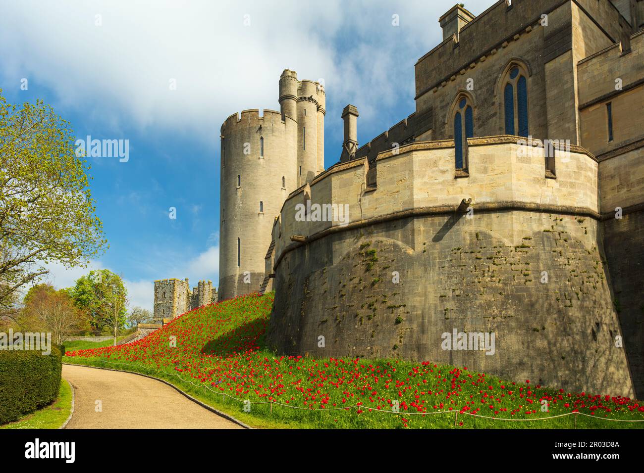 Château d’Arundel. Banque D'Images