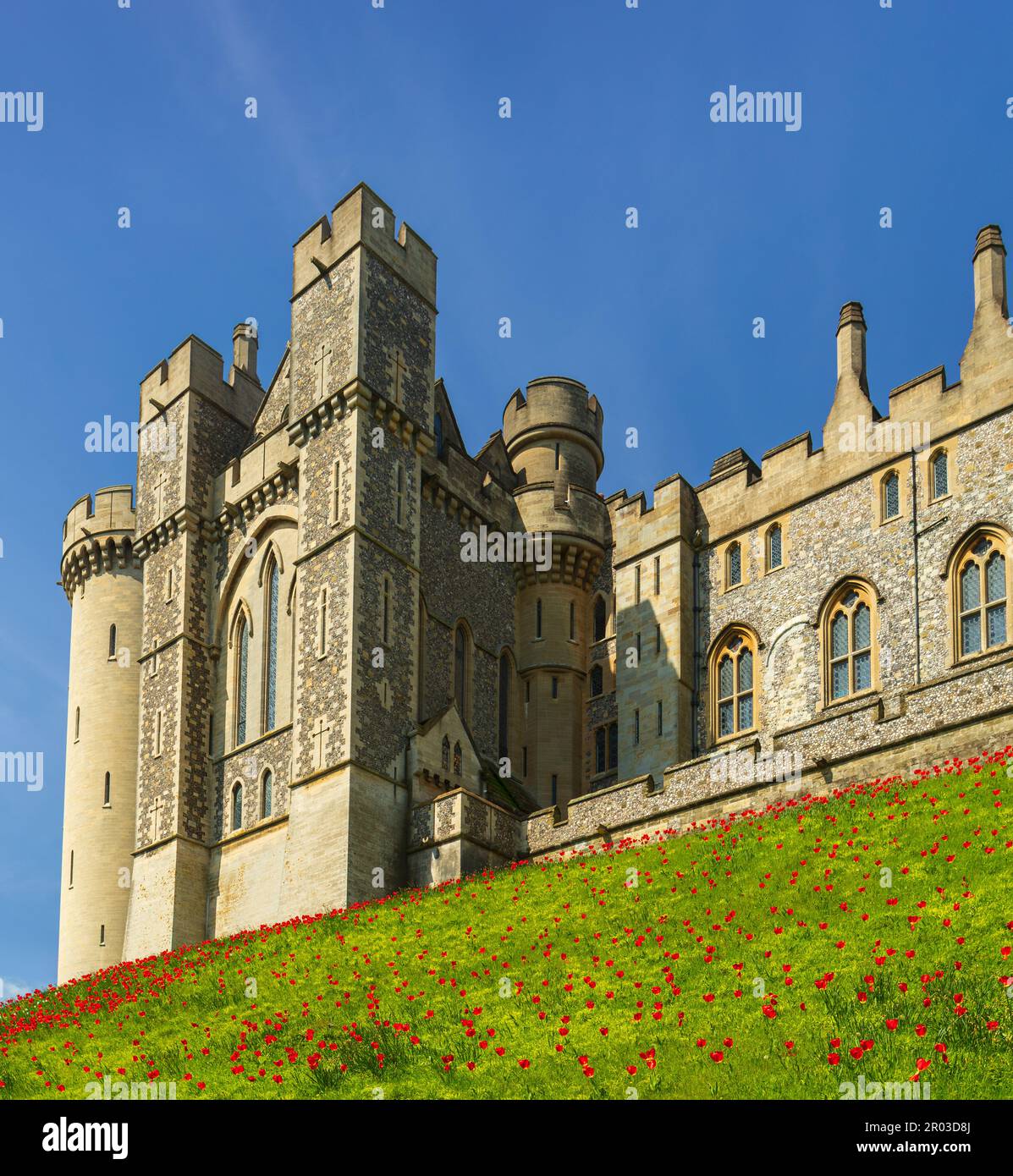 Château d’Arundel. Banque D'Images