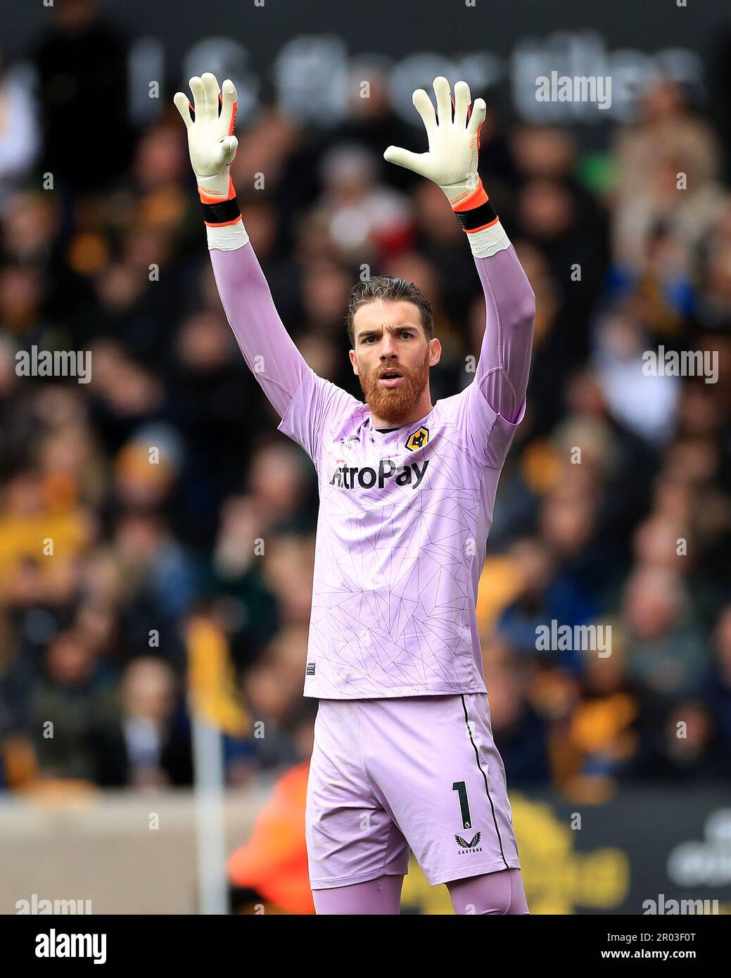 Wolverhampton Wanderers gardien de but Jose sa pendant le match de la Premier League au stade Molineux, Wolverhampton. Date de la photo: Samedi 6 mai 2023. Banque D'Images