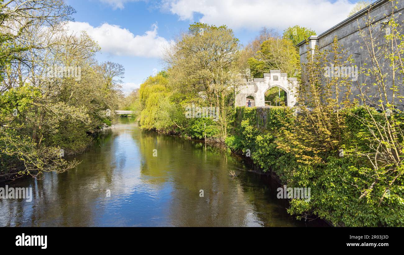 Rivière Lee entourée de buissons et d'arbres le long de l'université Colleg Cork dans la province de Cork Munster en Irlande en Europe Banque D'Images