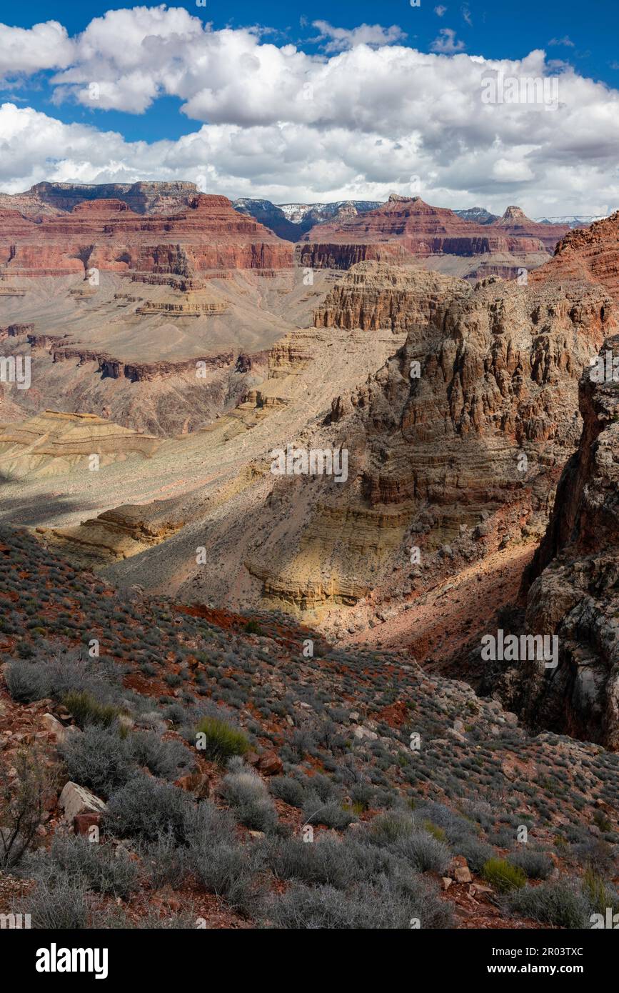 Vue sur Hermit Creek Canyon. Parc national du Grand Canyon, Arizona, États-Unis. Banque D'Images