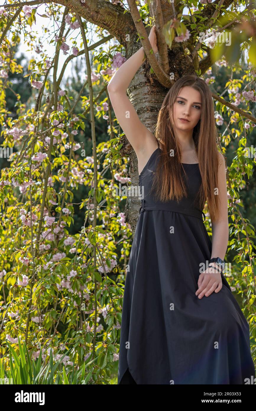 Belle fille brune à cheveux longs vêtue d'une robe noire pose sur l'appareil photo près de l'arbre sakura. Verticalement. Banque D'Images