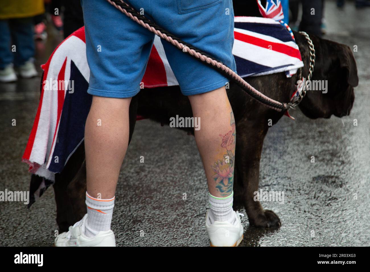Londres, Royaume-Uni. 06th mai 2023. Un homme avec un chien vu lors d'une manifestation anti-monarchiste pendant le couronnement du roi Charles III à Trafalgar Square. Crédit : SOPA Images Limited/Alamy Live News Banque D'Images