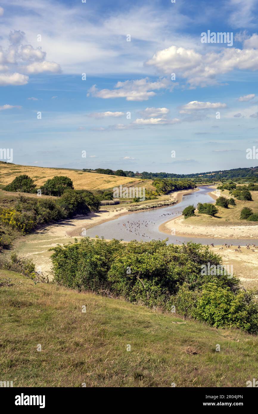 Eau de faible niveau dans la rivière Cuckmere, dans l'est du Sussex, en Angleterre, à l'été 2022, pendant une sécheresse Banque D'Images