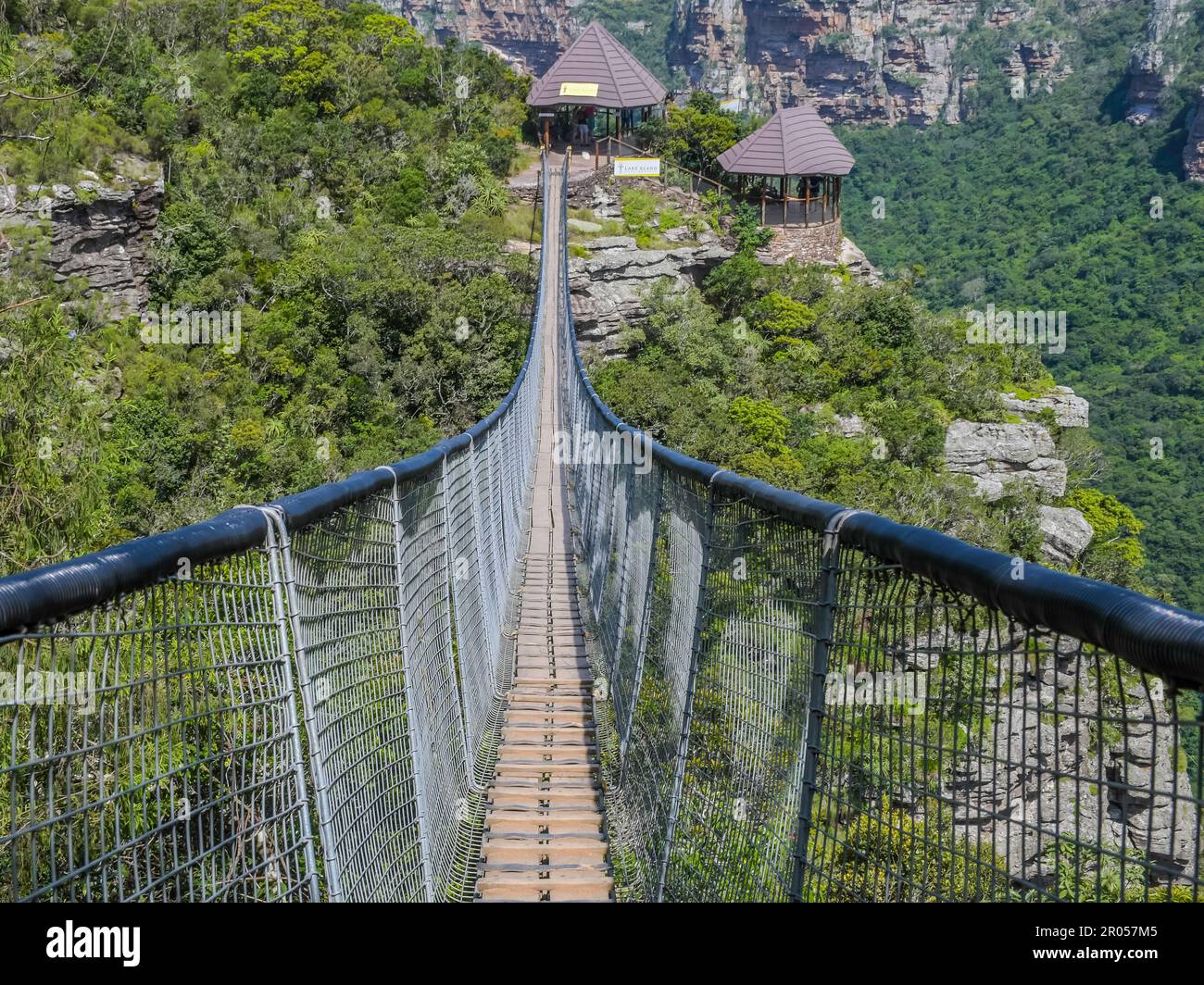 Réserve naturelle du lac Eland dans la gorge d'Oribi avec un pont suspendu en afrique du Sud Banque D'Images