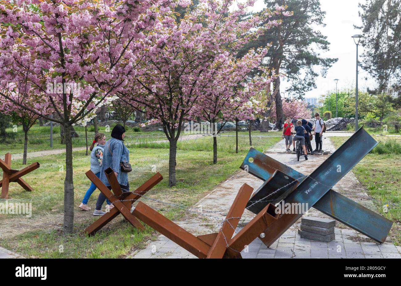 4 mai 2023, Kiev, Ukraine: Un groupe d'adolescents et une mère avec sa fille vus dans le parc près des hérissons anti-chars et des barbelés. Sakura s'est épanouie dans le parc de Kyoto à Kiev. Kyoto Park à Kiev est une petite île japonaise au milieu de la capitale ukrainienne. C'est la plus longue allée de sakura en Ukraine, d'environ un kilomètre de long, a été plantée, les arbres Sakura ne fleurissent pas pendant longtemps - à peine deux semaines de la fin avril au début mai. Le parc de Kyoto était le site de la ligne de défense de Kiev et il y a de nombreuses fortifications. (Credit image: © Mykhaylo Palinchak/SOPA Images via ZUMA Press Wire) ÉDITORIAL USAG Banque D'Images