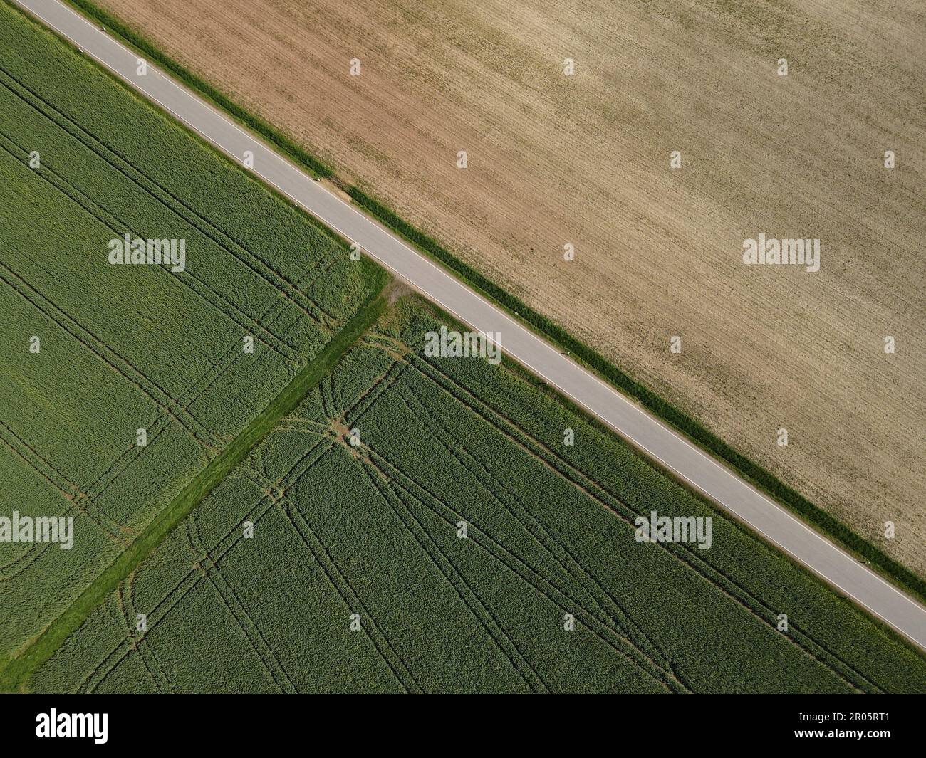 Vue d'en haut d'une route entre le champ de blé vert et le champ cultivable labouré avec du sol au printemps Banque D'Images