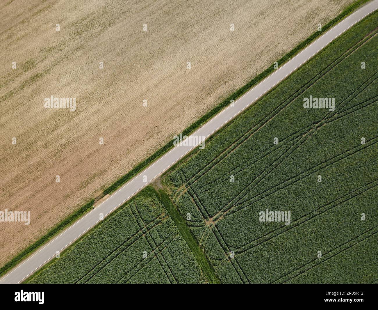 Vue depuis le dessus d'une route asphaltée dans la campagne entre les terres agricoles labourées avec le sol et les champs de blé en pleine croissance au printemps Banque D'Images
