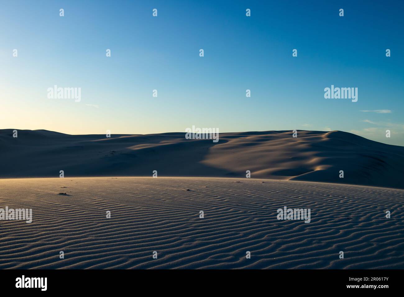 Coucher de soleil sur les petites dunes de Moreton Island, Queensland Australie Banque D'Images