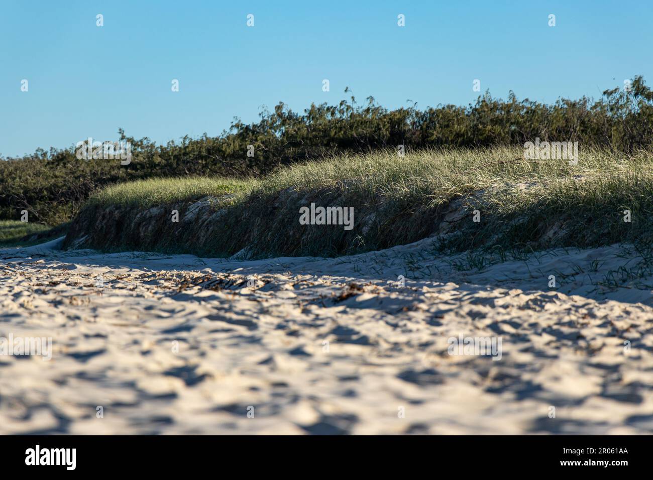 Plage et dunes de sable de Grassy dans l'après-midi sur la plage de l'île de Moreton, Queensland Australiaa Banque D'Images