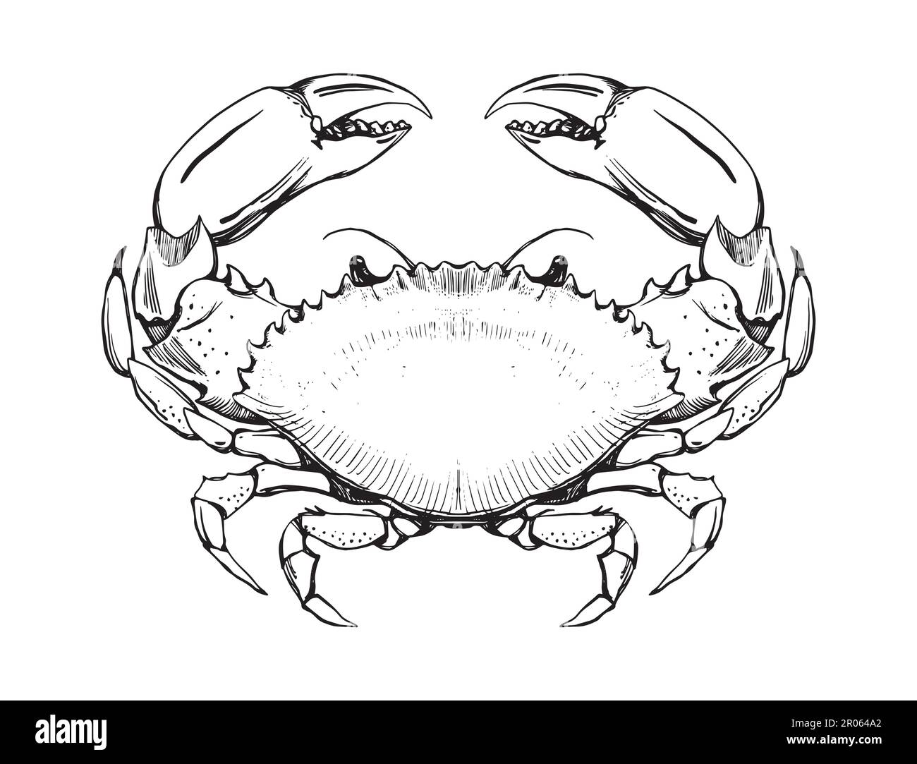 Signe du zodiaque du cancer, symbole du crabe de mer vue de dessus, dessin de ligne vintage pour le menu, marché aux poissons. Tatouage vectoriel dessiné à la main isolé sur fond blanc, engra Illustration de Vecteur