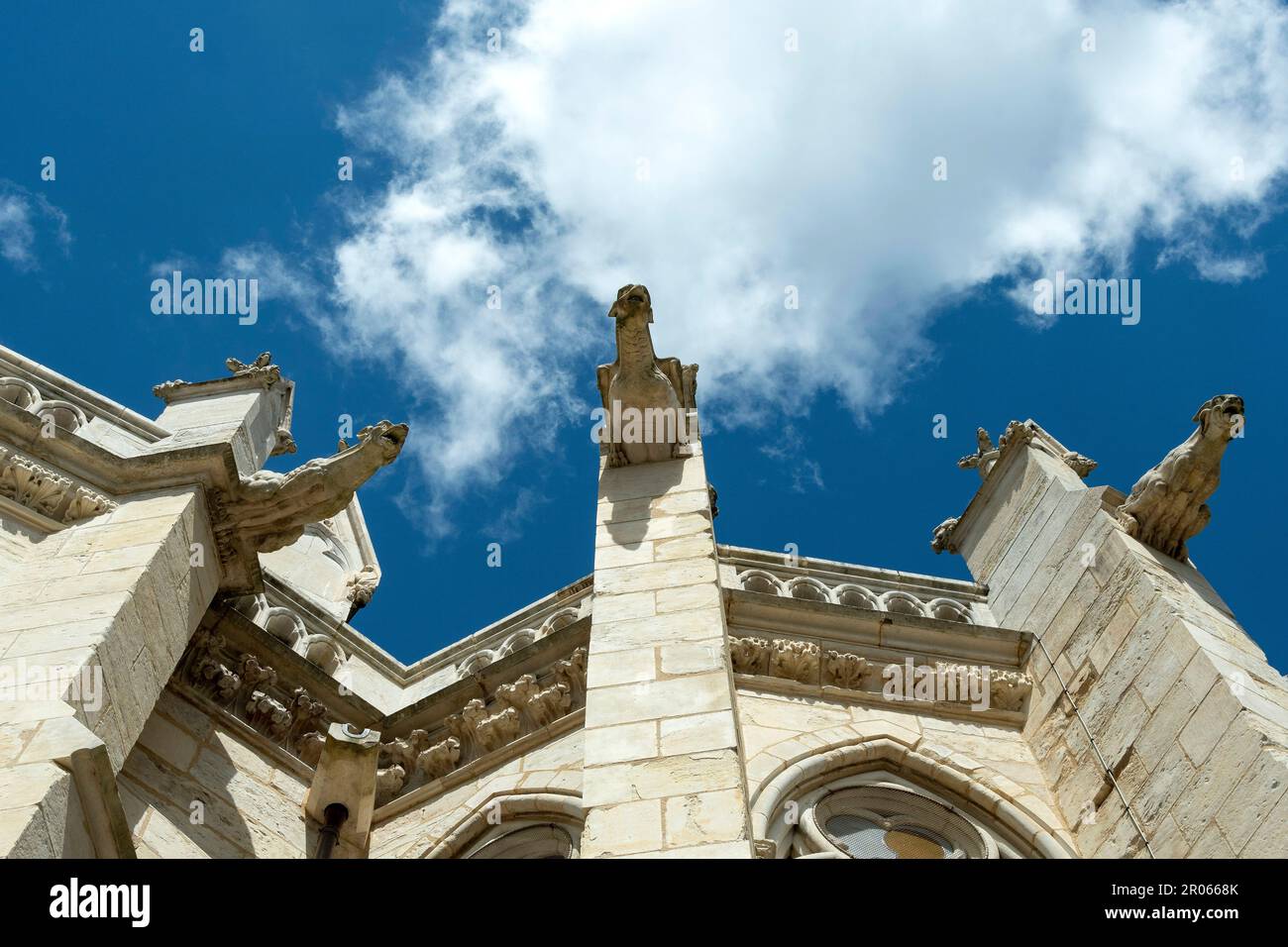 Nevers. Gargouilles de la cathédrale Saint Cyr et de Sainte-Julitte. Département de la Nièvre. Bourgogne Franche Comte. France Banque D'Images