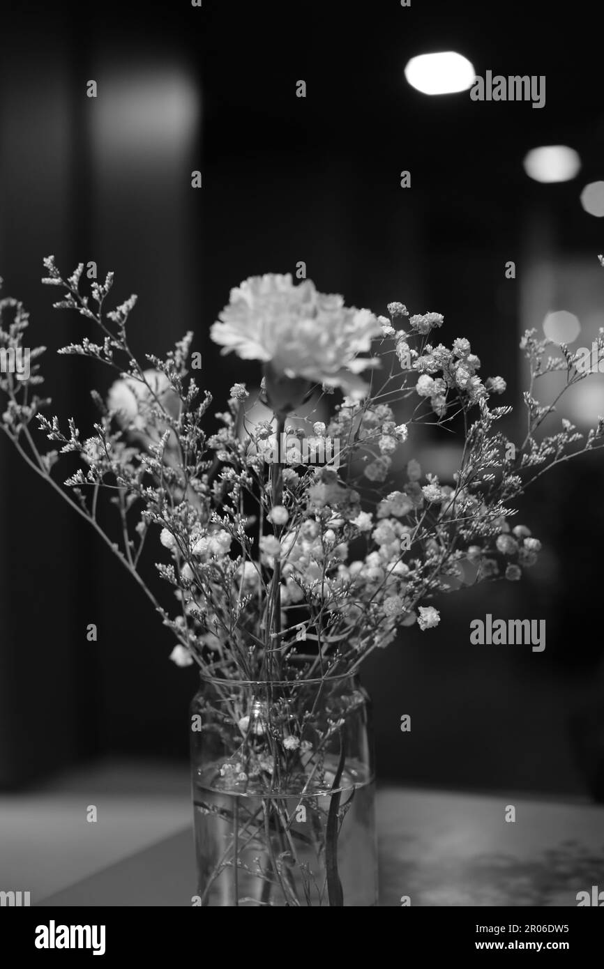 Ville historique de Dhaka au Bangladesh (jour et nuit) Banque D'Images