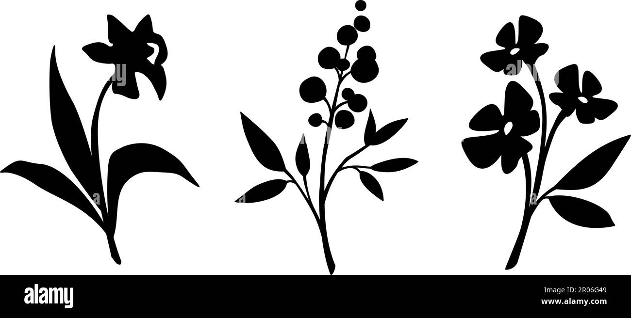 Ensemble de fleurs. Silhouettes noires de fleurs isolées sur fond blanc. Illustration vectorielle Illustration de Vecteur Ensemble de fleurs. Silhouettes noires de fleurs isolées sur fond blanc. Illustration vectorielle Illustration de Vecteur