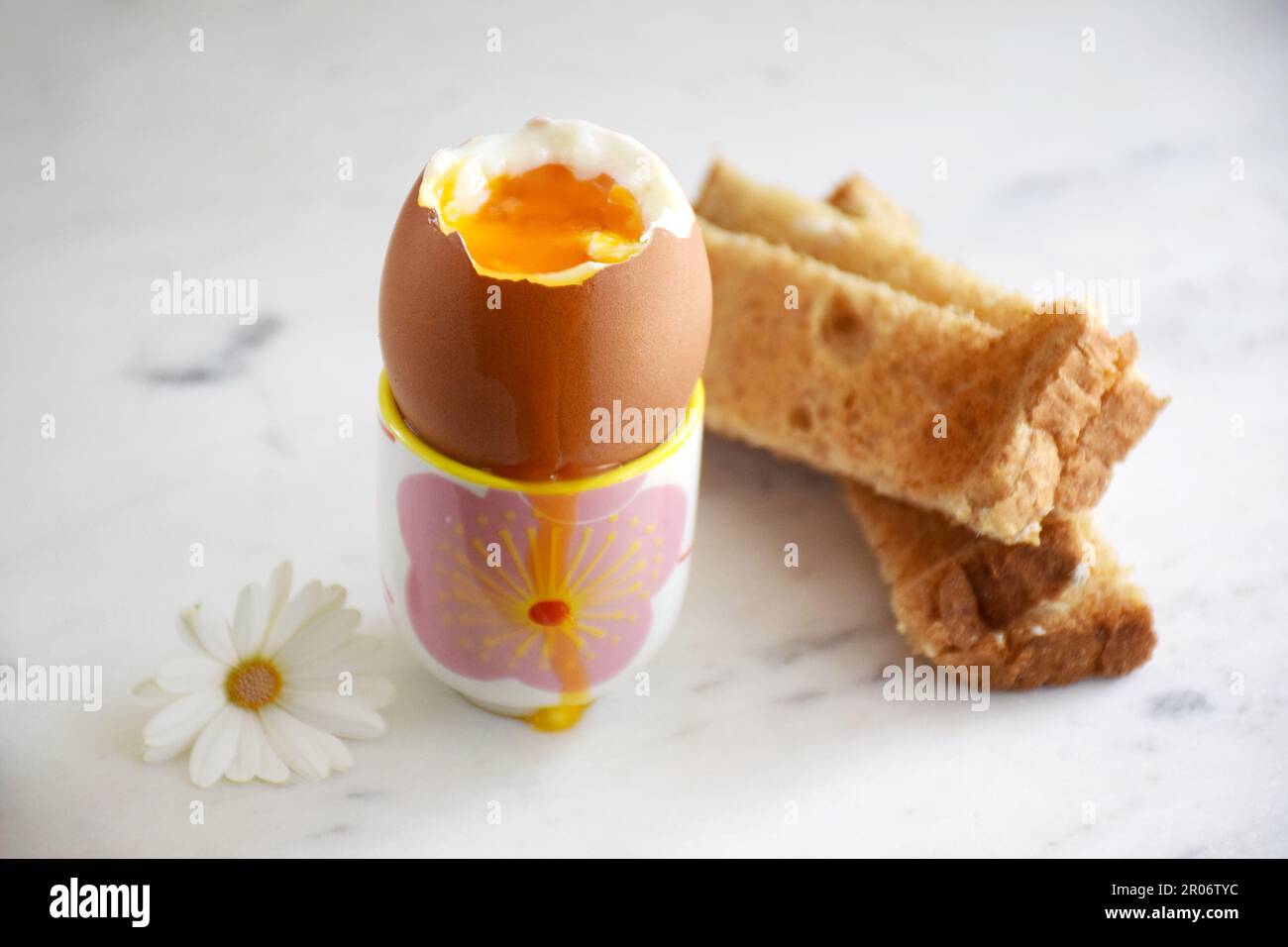 œufs durs avec pain grillé, idée petit déjeuner Banque D'Images