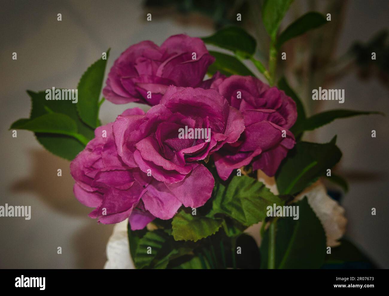 Fleurs artificielles en lumière tamisée Banque D'Images