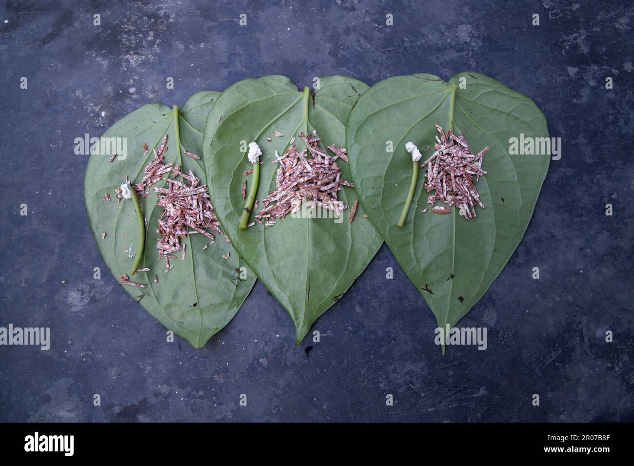 Décoration feuille de bétel verte sur le sol en béton avec noix de bétel et lime Banque D'Images