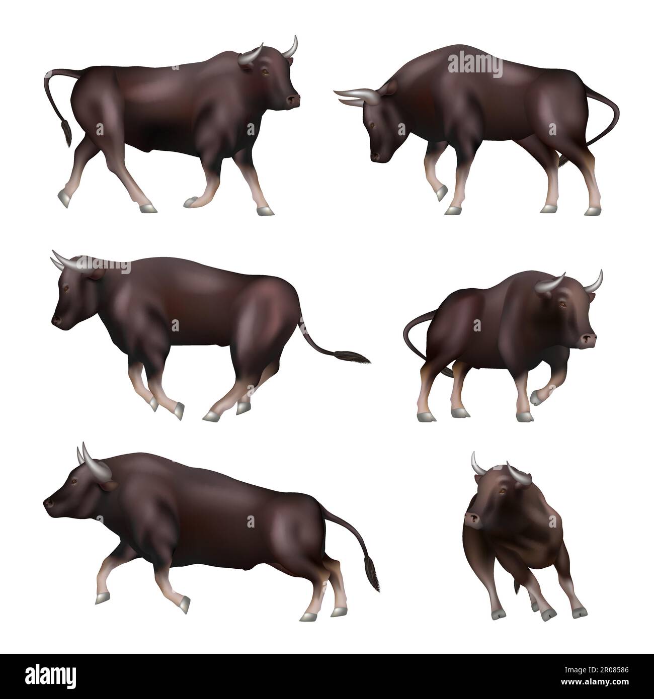 Bull Animal en action pose agressive taureau d'affaires décent vecteur réaliste modèle Illustration de Vecteur