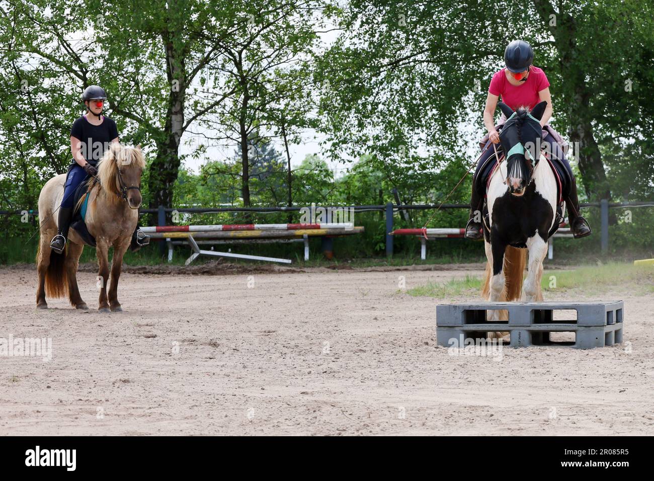 Événement cheval, pilote Banque D'Images