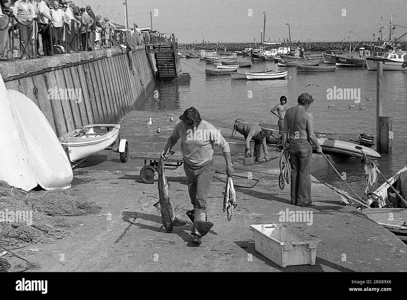 Folkestone,Port,bateaux de pêche,débarcadère de pêche,Folkestone,Kent,vers 1977 Banque D'Images
