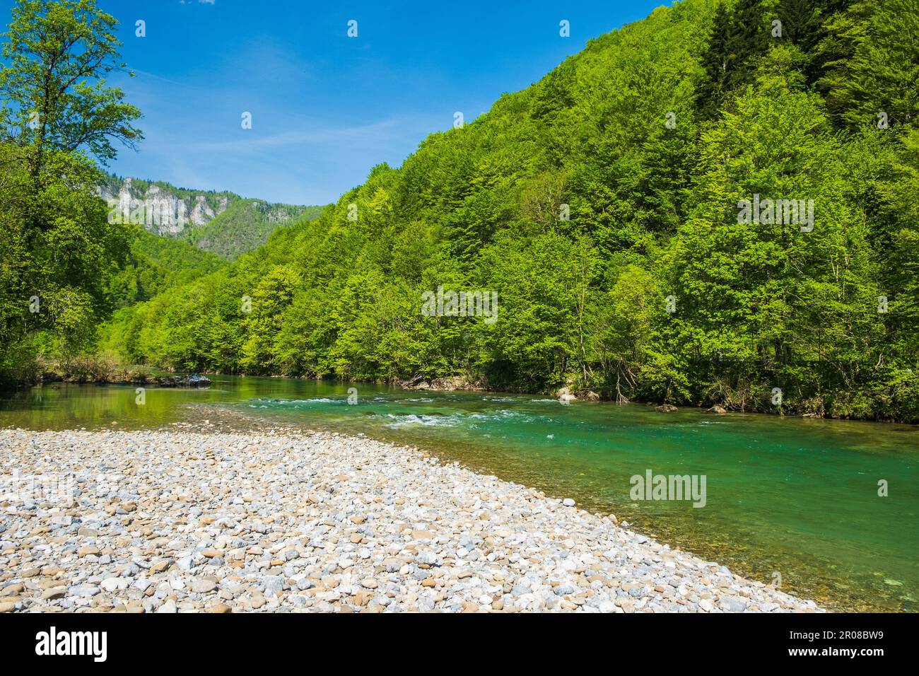 Canyon de la rivière Kupa au printemps, Gorski Kotar, Croatie Banque D'Images