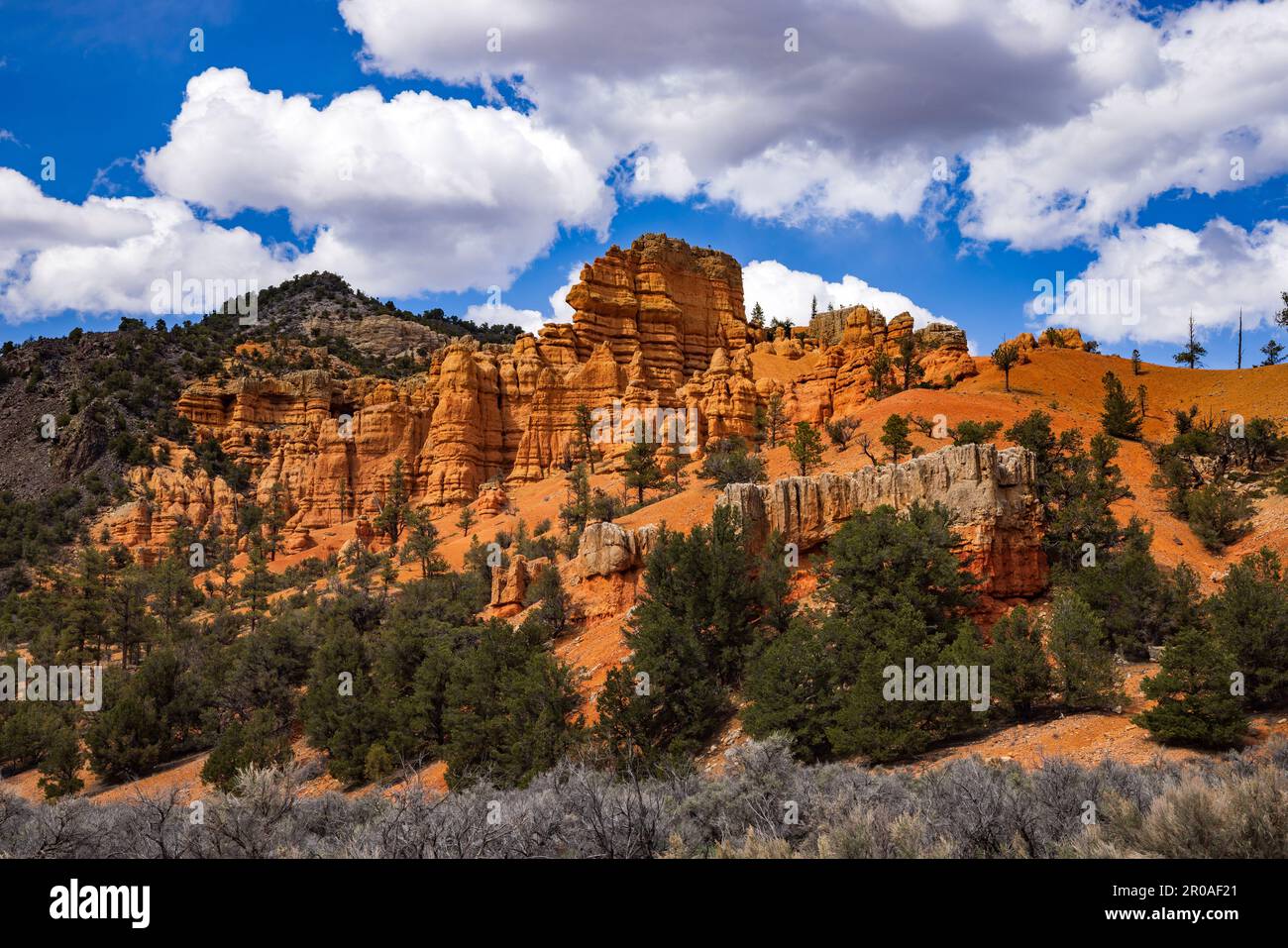 Il s'agit d'une vue d'une formation de grès rouge à l'entrée de Red Canyon dans la forêt nationale de Dixie à l'est de Panguitch, comté de Garfield, États-Unis. Banque D'Images