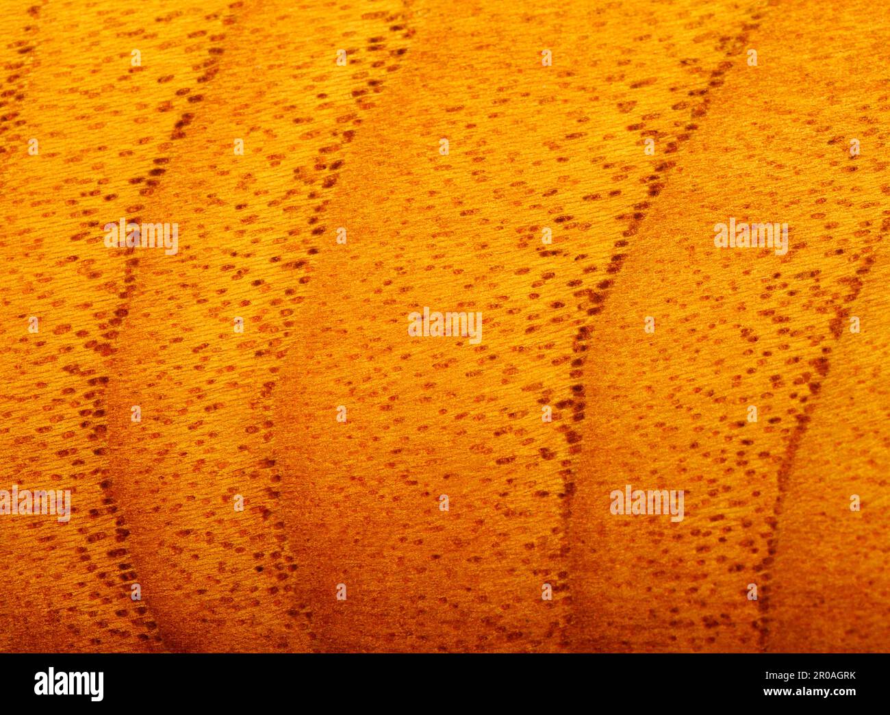 Motif en bois d'un rail de chaise laqué Banque D'Images