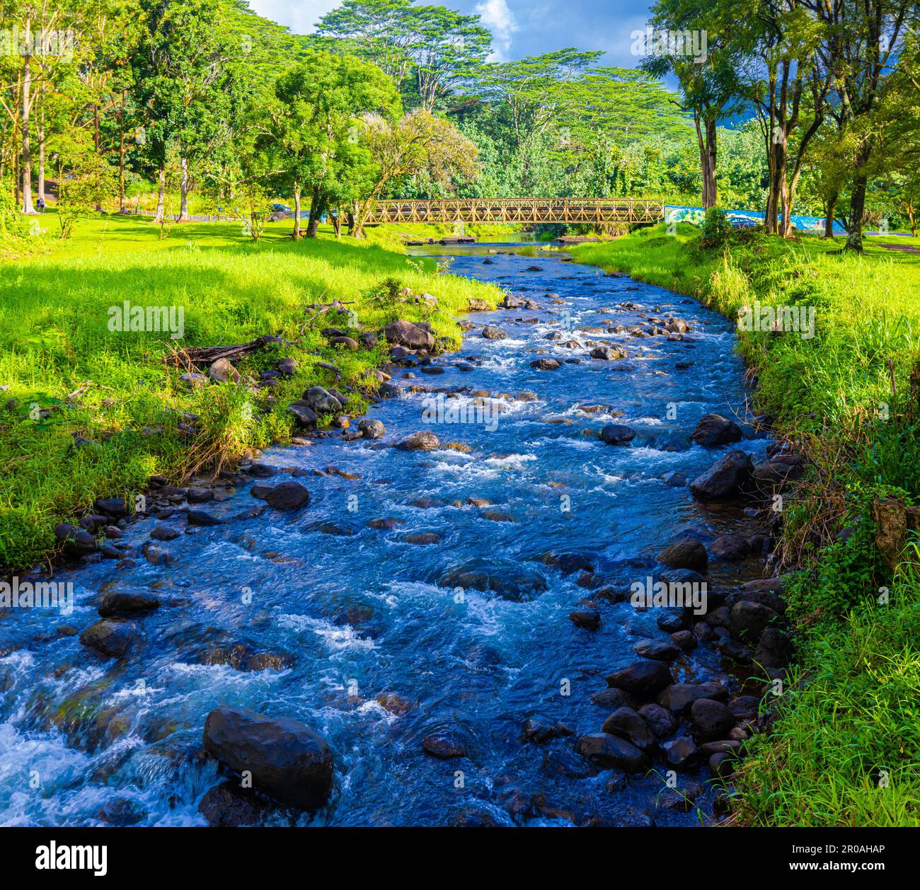 Pont au-dessus du ruisseau Keahua à l'arboretum Keahua, Kauai, Hawaii, États-Unis Banque D'Images