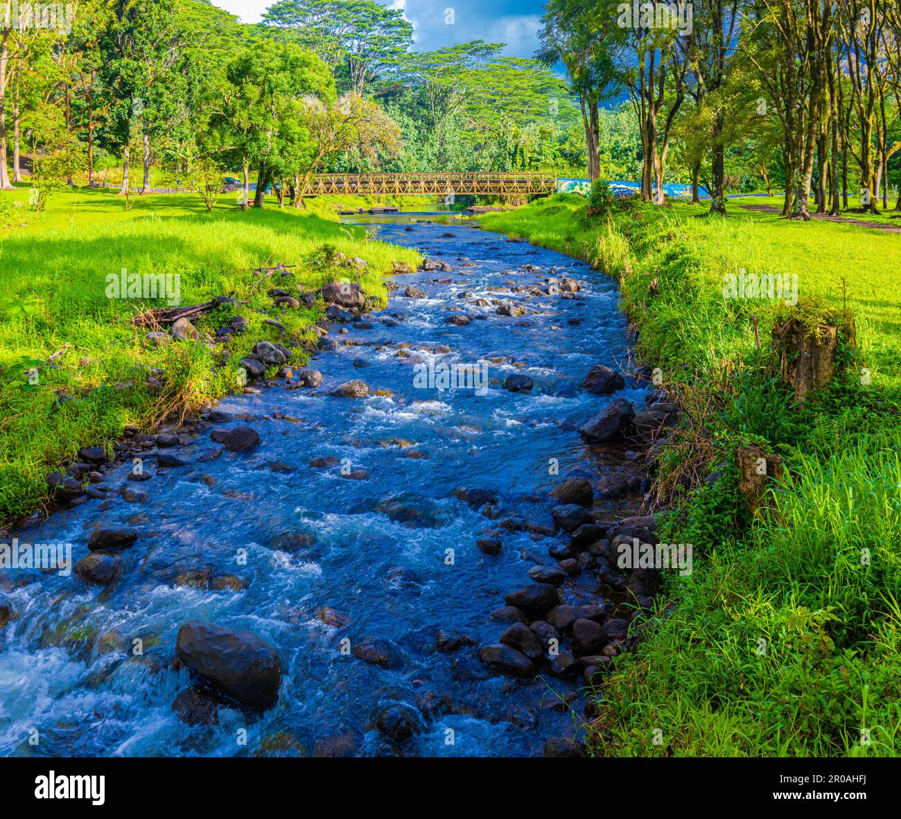 Pont au-dessus du ruisseau Keahua à l'arboretum Keahua, Kauai, Hawaii, États-Unis Banque D'Images