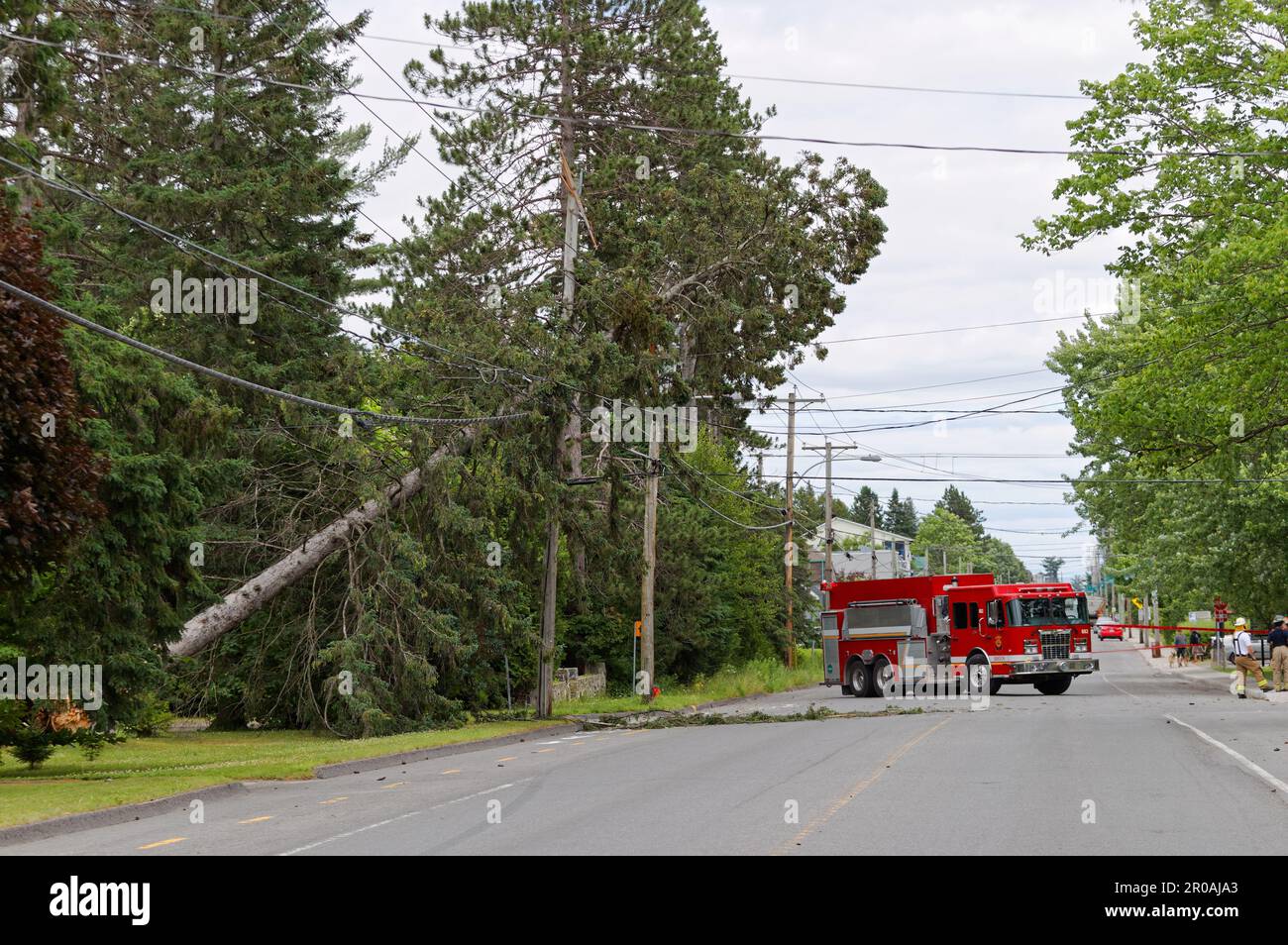 Un camion d'incendie bloque une rue à cause d'un arbre qui tombe. Québec, Canada Banque D'Images