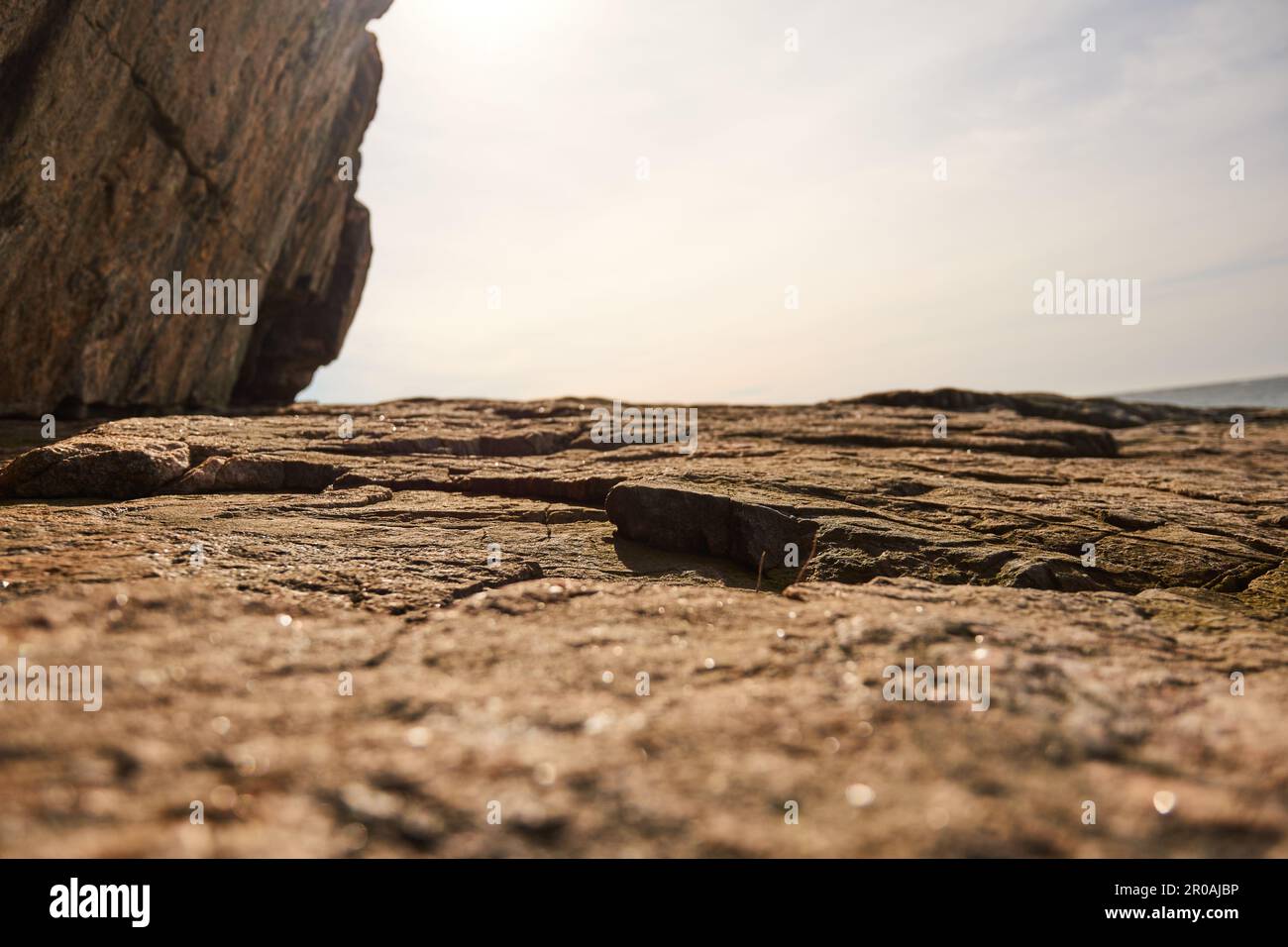 Une surface rugueuse beige marron sur une roche dans un archipel sur la côte ouest suédoise. Banque D'Images