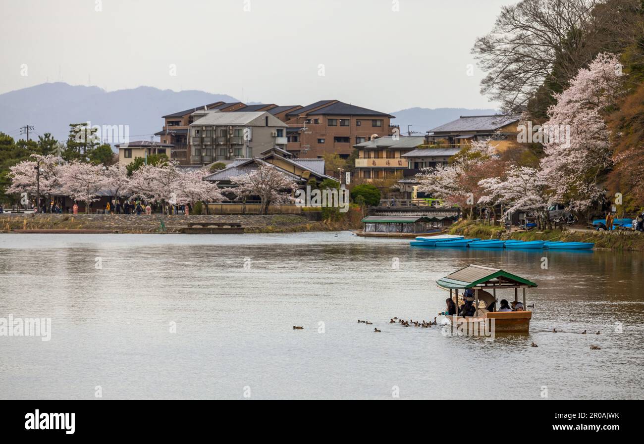 Kyoto, Japon - 27 mars 2023 : bateaux sur la rivière Katsura dans le magnifique parc de Kameyama à Arashiyama, Kyoto, Japon Banque D'Images