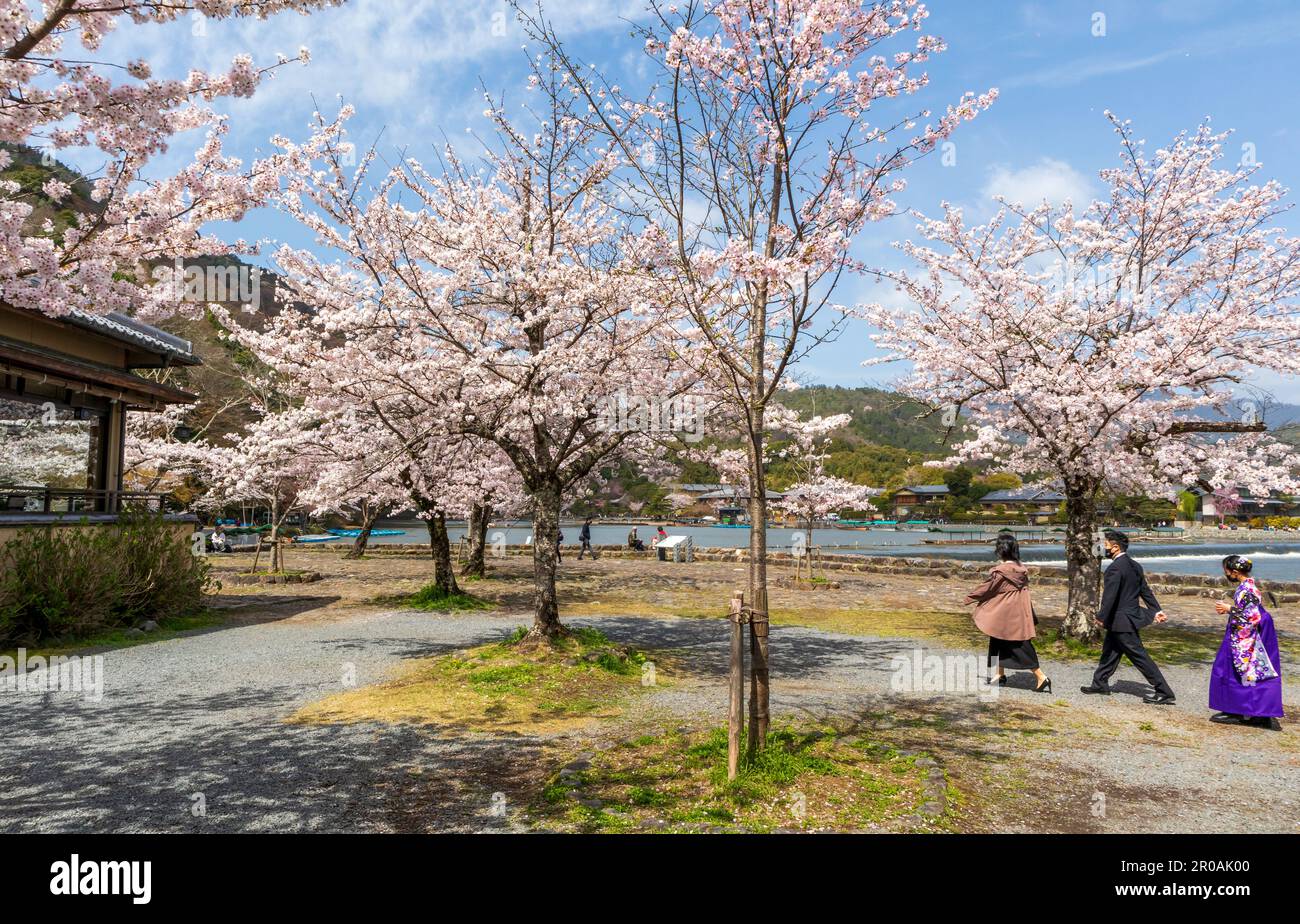 Kyoto, Japon - 27 mars 2023 : magnifique parc d'Arashiyama près de la rivière Katsura à Arashiyama, Kyoto, Japon Banque D'Images