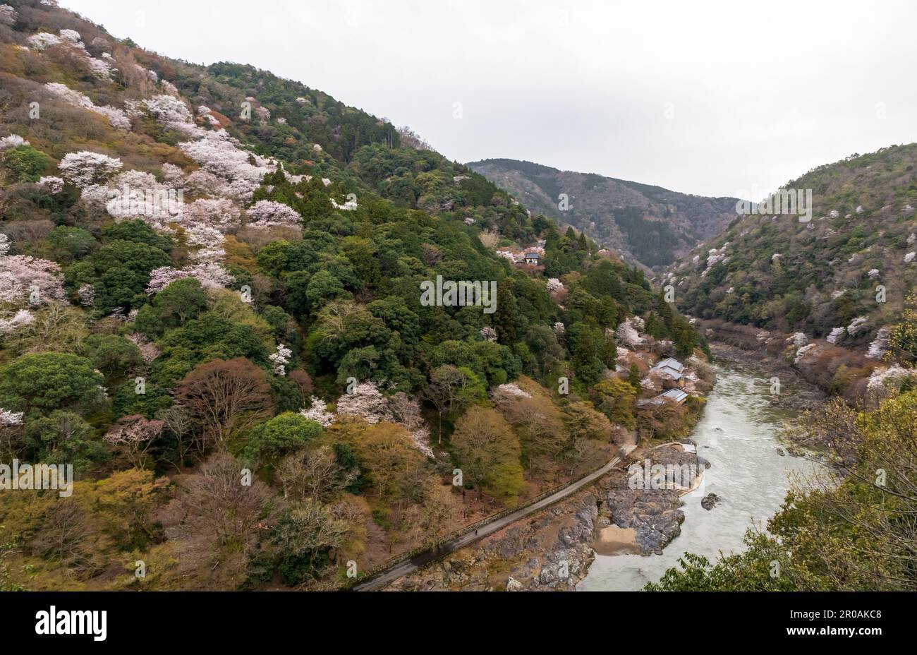 Magnifique parc Kameyama près de la rivière Katsura à Arashiyama, Kyoto, Japon Banque D'Images