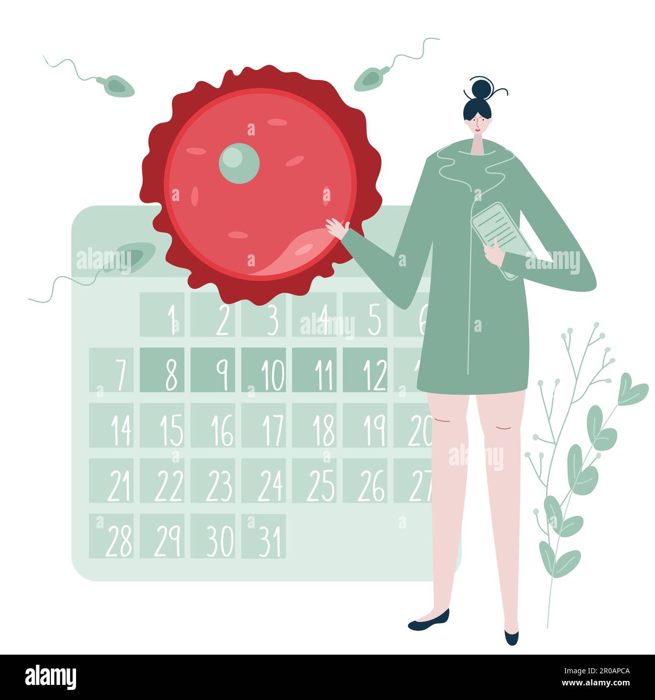 Le médecin, gynécologue aide à planifier la grossesse, ont bébé et deviennent parents. Illustration avec calendrier, ovule et cachalots bon pour Illustration de Vecteur